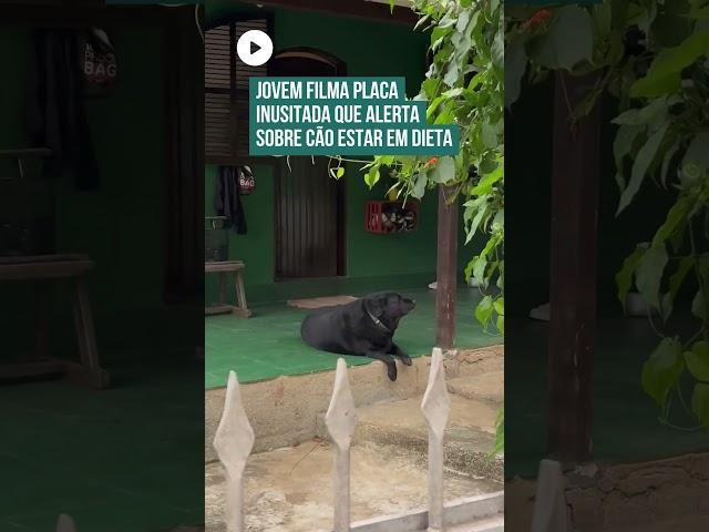 Jovem filma placa engraçada que avisa que o cachorro está de dieta! 