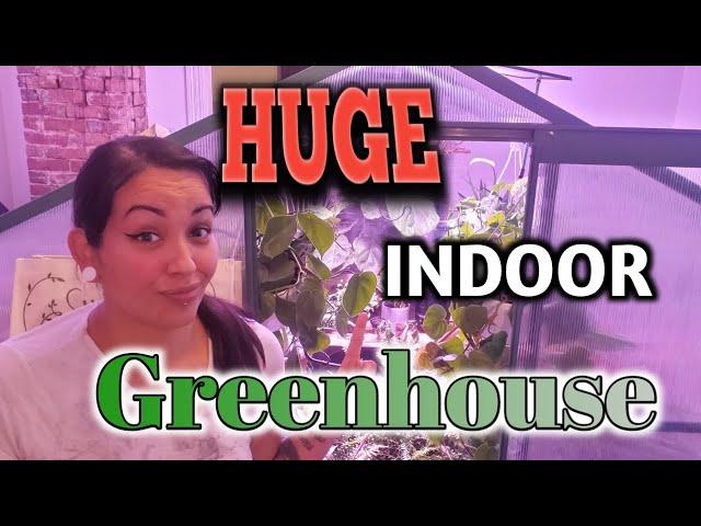 I built a HUGE Indoor Greenhouse In My Dining Room