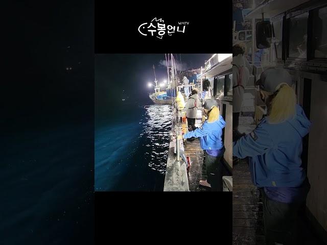 운전 ㅈ같이 할래? 아놔.......