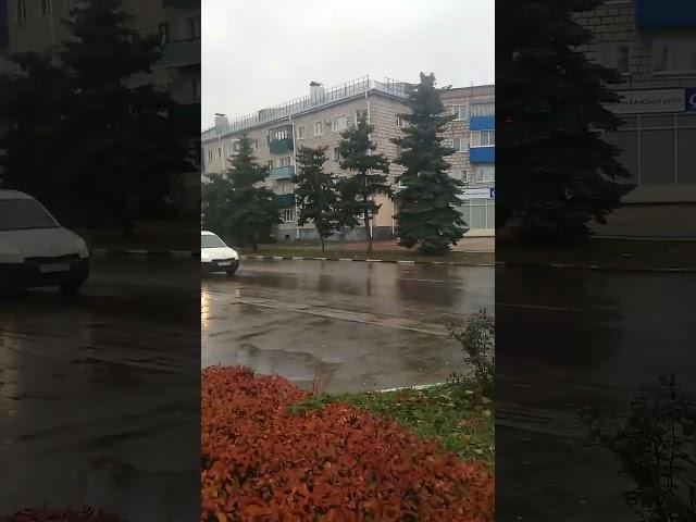 Осенний Урюпинск.Живой бордюр.