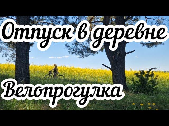Велопрогулка за ландышами и в рапсовое поле Цветущий май 