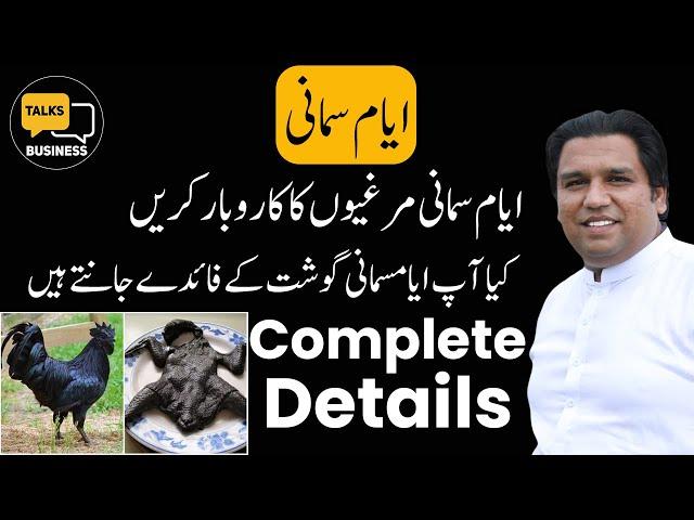 How to Start a Successful Ayam Samani Chicken Poultry Farm Business in Pakistan - Complete Guide!!!