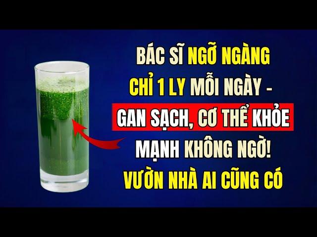 Tại Sao Lá Đu Đủ Là "THẦN DƯỢC" Cho Sức Khỏe Của Bạn? 11 Lý Do Đặc Biệt!