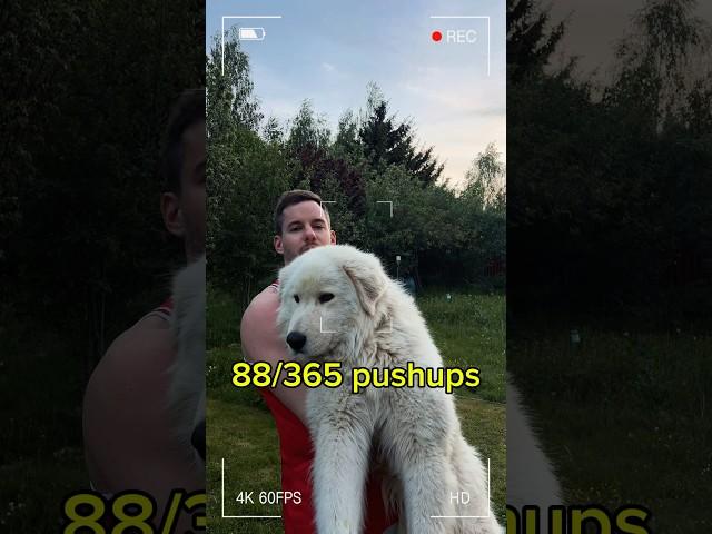 88/365 #pushupseveryday