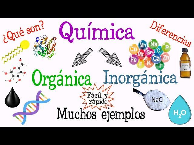 ¿Qué es Química Orgánica y Química Inorgánica? [Fácil y Rápido] | QUÍMICA |