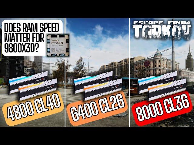 Does RAM Speed Matter for 9800X3D in Tarkov?