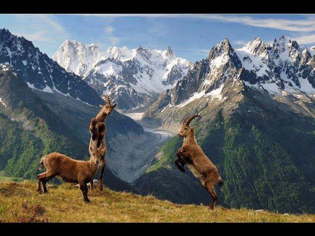The real beauty of Gilgit Baltistan - The land of beauty | Dunya Special