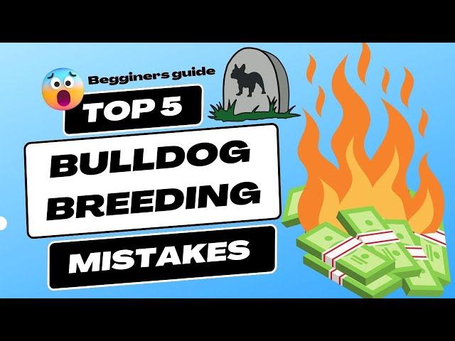 Bulldog Breeding: Common Mistakes costing Thousands - and the Dog Myths You Need to Know!