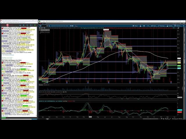 Intro to the Tribeca Trade Group Video