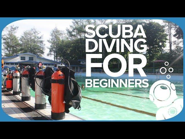 Scuba Gear For Beginners