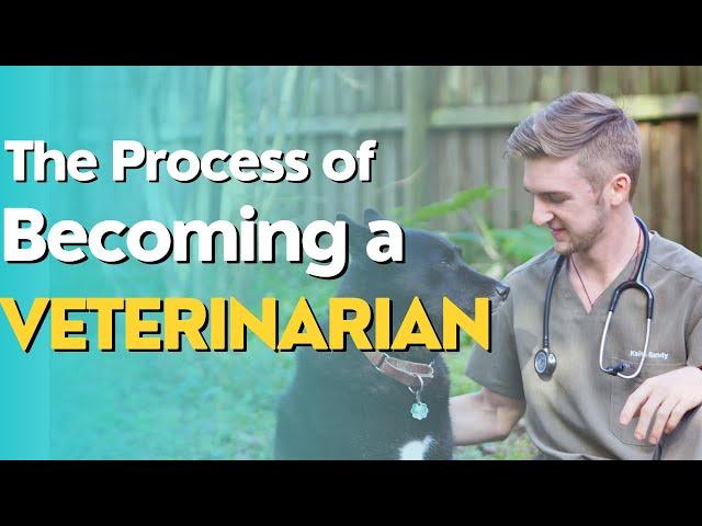 A Step-by-Step Guide to Becoming a Licensed Veterinarian in the United States