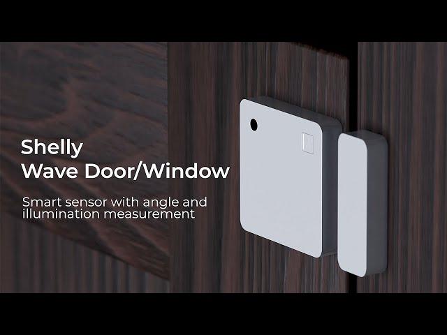 Shelly Wave Door/Window