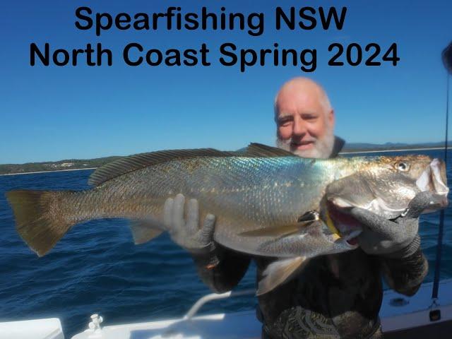 Spearfishing NSW North Coast Spring  2024