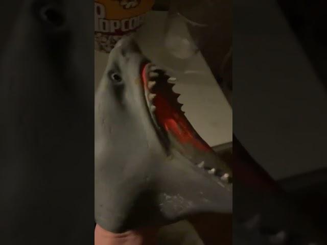 Shark puppet tries hot Cheetos #shorts