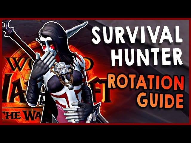 Survival Hunter Rotation Guide | The War Within Beta | World of Warcraft