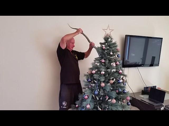 The snake catcher catches Tiger snake in Christmas tree