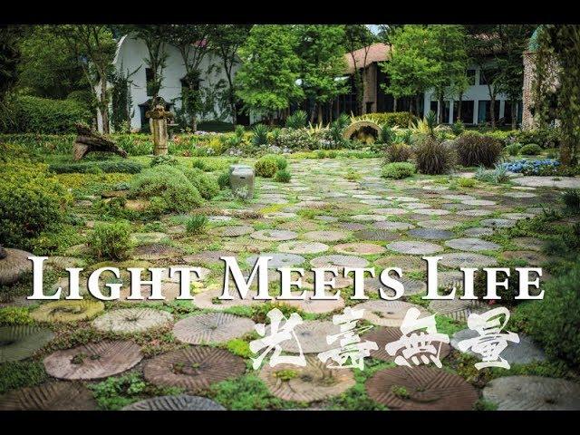 Global Tea Hut Retreat Center: Light Meets Life