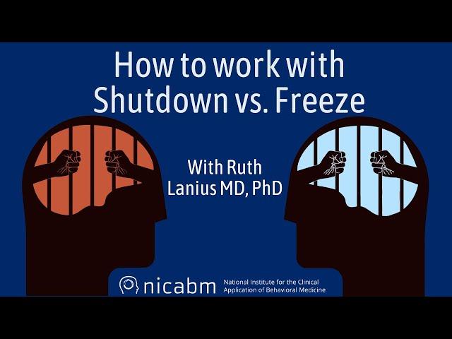 How to work with Shutdown vs. Freeze – with Ruth Lanius, MD, PhD