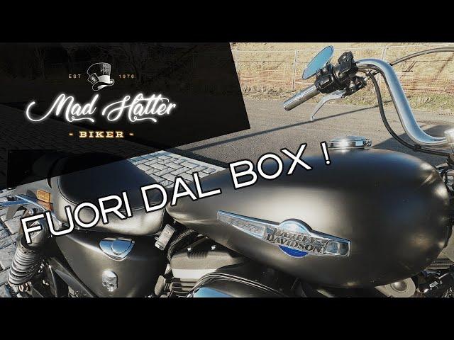 My Bike gets finally out of the box (60fps) - Harley Davidson Sportster 1200 custom (XL1200CB)