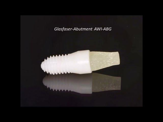 Anwendungsbeispiel der AWI Glasfaserabutments Dr. Witalij Kolbe & ZT. Artur Wolf