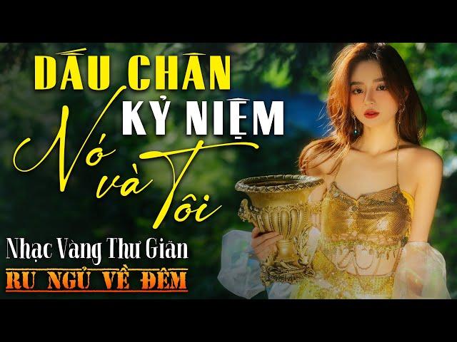 Nhạc Vàng Xưa Tuyển Chọn, THƯ GIÃN Ru Ngủ Về Đêm | Nhạc Trữ Tình Hải Ngoại Bất Hủ ÊM TAI CỰC HAY