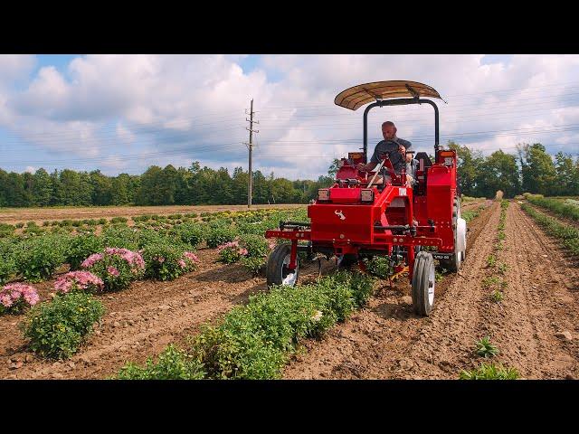 Keep Perennial Nurseries Weed Free With Only One Person
