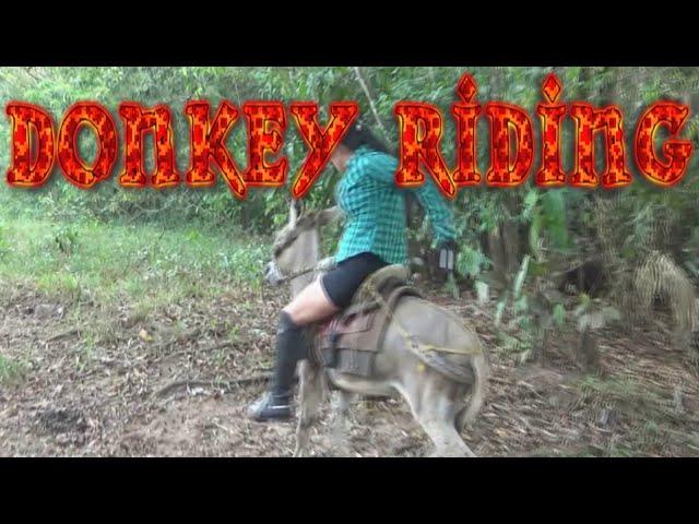 Donkey Riding #donkeyriding #ponyriding #esel #reiten #sheepriding #cowriding #goatriding