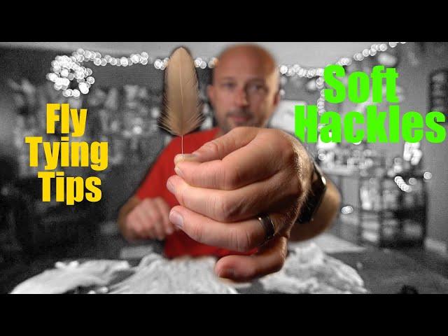 Fly Tying Tips - Soft Hackles