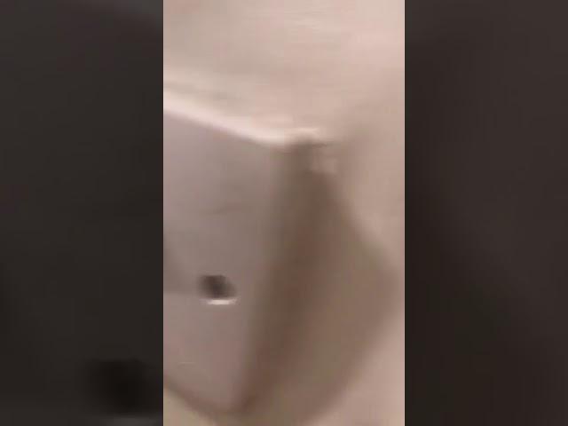 Sparking Behind Light Switch