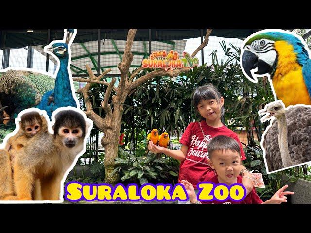 Wisata Jogja | Suraloka Zoo Kaliurang