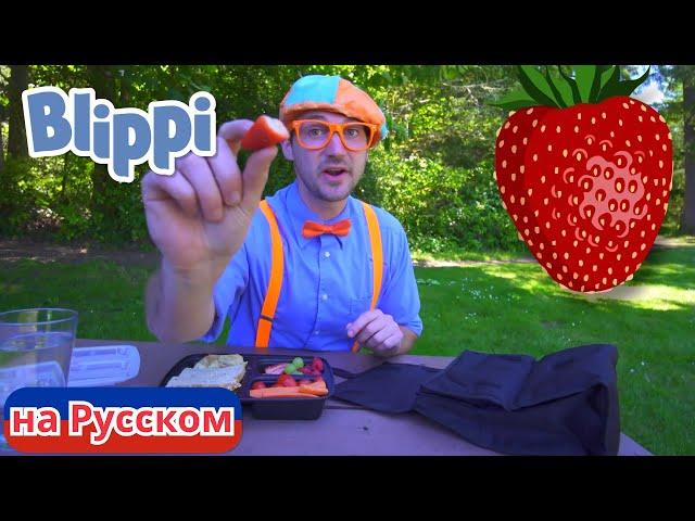 Детектив Блиппи | Блиппи на Русском | Изучай этот Мир вместе с Блиппи | Blippi