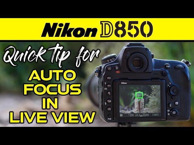 Nikon D850 | Quick Tip For Autofocus In Live View