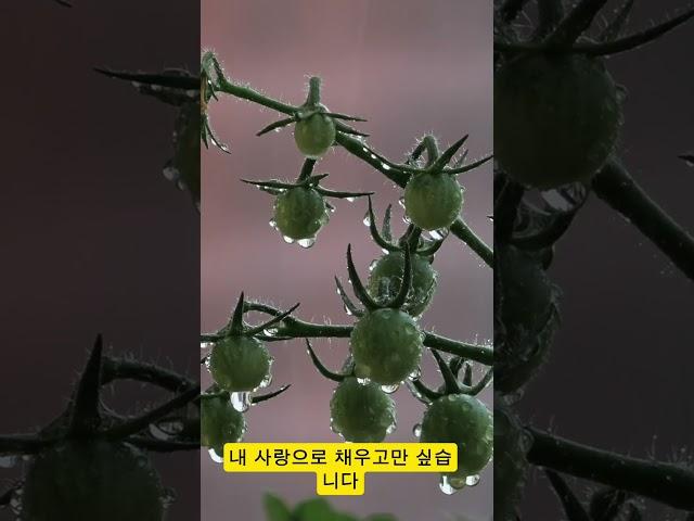 오늘의 좋은 글 #명언 #시