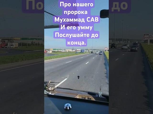 26 июля 2024 г.