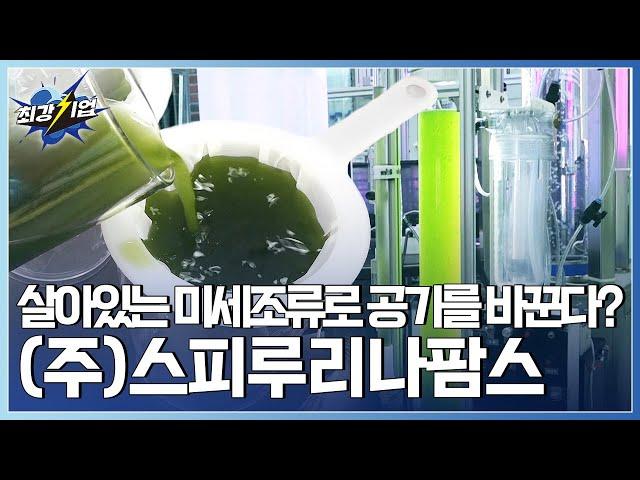 [최강기업] 살아있는 미세조류로 공기를 바꾼다?!  / YTN 사이언스