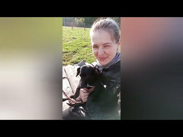 Работа, стройка, ТИШИНА/ Весна в деревне, топит участок/ Жизнь в деревне/ Саженцы прижились/ Птицы
