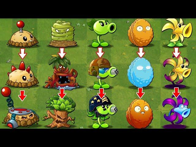 Each Type Of Plant Evolves & Upgrades NOOB - PRO - HACKER Version? - PvZ 2 Discovery