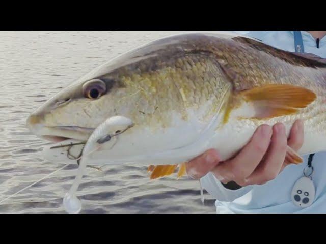 How To Quickly Catch An Inshore Slam When Fishing New Areas