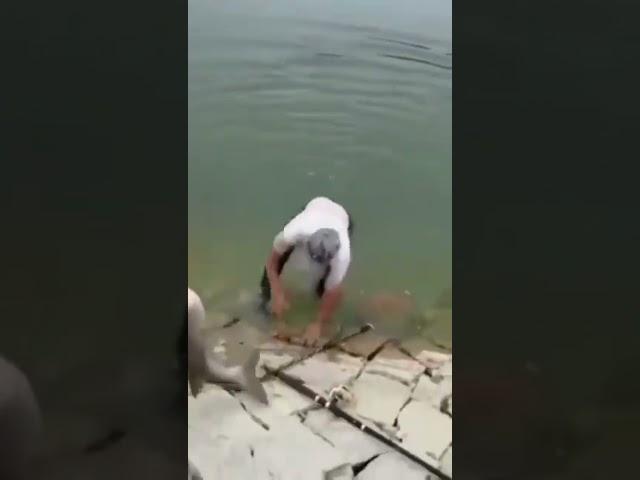 Два рыбака не смогли вытащить толстолобика  #рыбалка