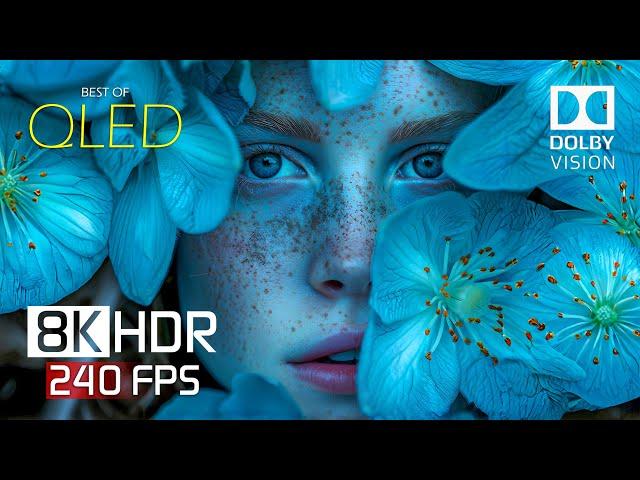 Real Dolby Vision - 8K HDR Video ULTRA HD 240 fps