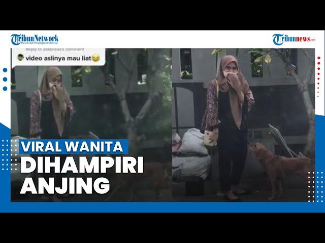 Viral Seorang Wanita Pasrah Dihampiri oleh Anjing, Pernah Mengejar Semasa SMA Dulu