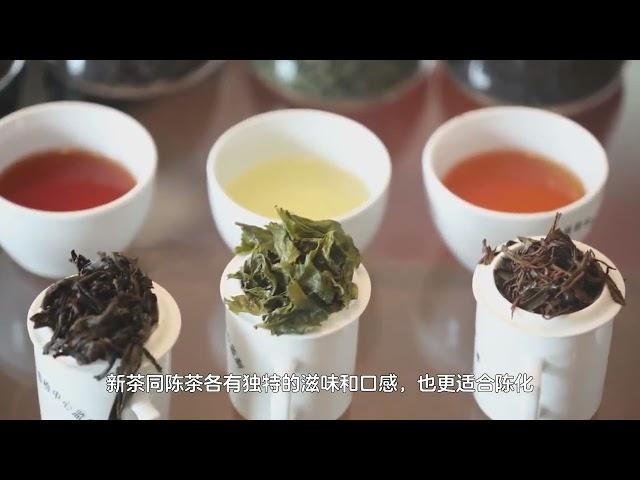 茶叶买新茶还是陈茶？搞明白不被坑