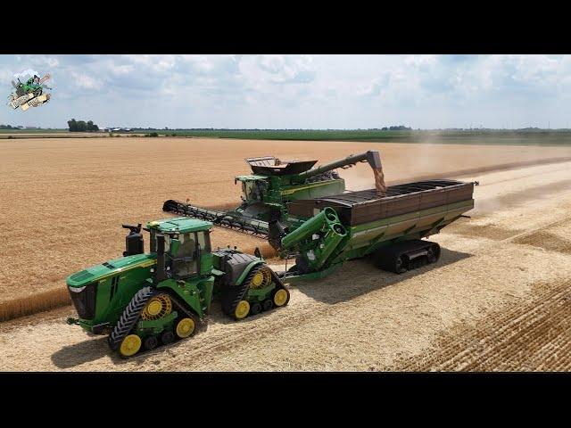 Wheat Harvest 2024 at Crossroad Farms in Indiana