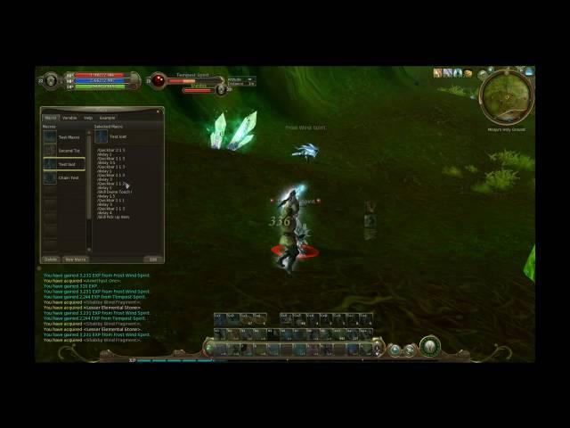 Aion Cleric Auto kill and loot Macro HD