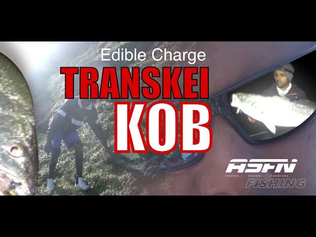 Transkei Kob Fishing |@TheASFNEdible charge | ASFN Rock & Surf