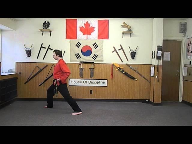 Grandmaster Justin Powell Performs Shifting From Stance To Stance