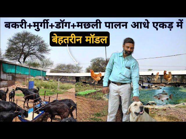 एक किसान का Integrated Farming System । मुर्गी+बकरी+कुत्ता+मछली पालन आधे एकड़ में । How to start IFS