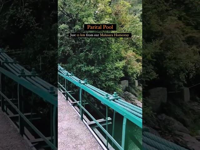 Pari Tal Pool - Hidden Gem Of Nainital #shorts #shortsvideo #ytshorts#travel#nainitallake#hiddengem