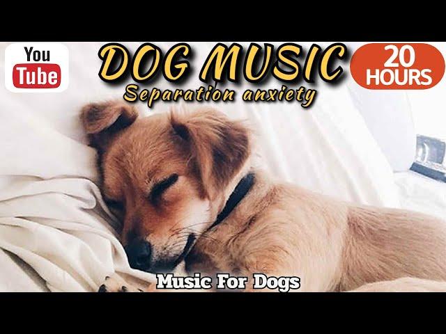 20 HOURS of Dog Calming MusicMusic to Help Dogs relaxDog Separation Anxiety Music⭐Healingmate