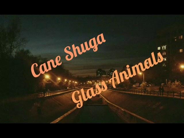 Cane Shuga-Glass Animals (Lyrics)